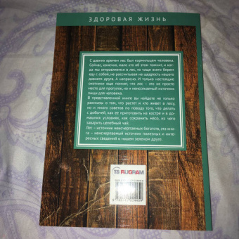 Иван Дубровин: Лес – кормилец