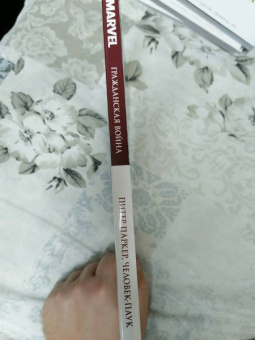Роберто Агирре-Сакаса: Гражданская война. Питер Паркер - Человек Паук