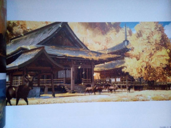 Голдфарб, Коннелл: Мир игры Ghost of Tsushima