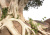 Прем Гитама: Тантра. Том II. Сокровенные тайны Прем Гитама: Тантра. Том II. Сокровенные тайны
