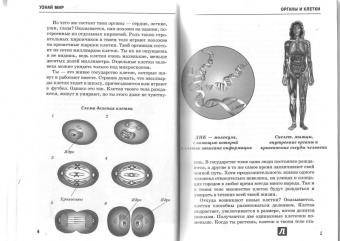 Сергей Афонькин: Анатомия человека. Школьный путеводитель