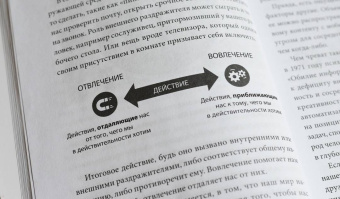 Эяль, Ли: Неотвлекаемые. Как управлять своим вниманием и жизнью