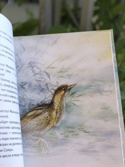 Игорь Шляпка: Весенний завтрак у Моховой Бабушки