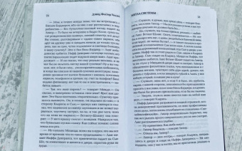 Дэвид Уоллес: Метла системы