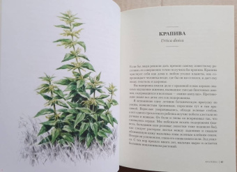 Урсула Штумпф: Травы. Природный источник жизненной силы