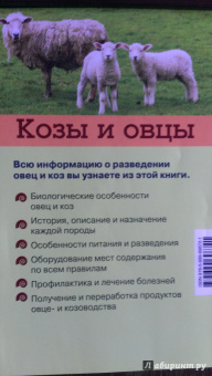 Елена Плотникова: Козы и овцы