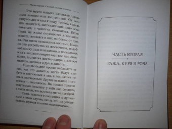 Александр Шевцов: Ружь, или внешние силы