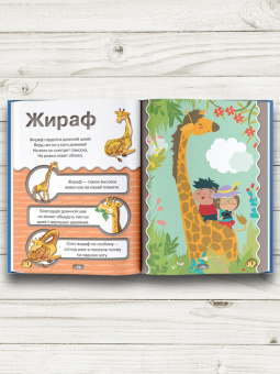 Федорова, Прудник, Богуш: Первая книга малыша 4D