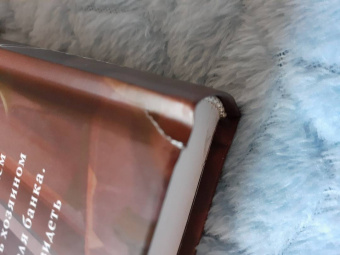 Терри Пратчетт: Делай деньги!