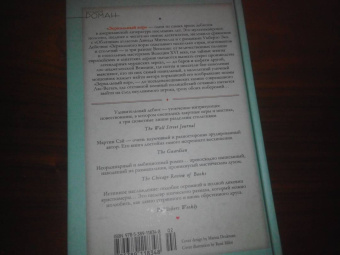 Мартин Сэй: Зеркальный вор