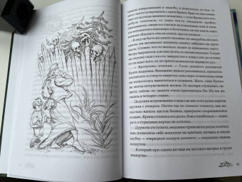 Ольга Ромадина: Янтарный меч