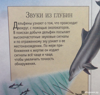 Тина Канделаки: Гигантская энциклопедия живого мира