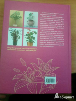 Иллюстрированная энциклопедия комнатных растений