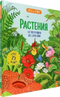 Рут Мартин: Растения. От петрушки до секвойи