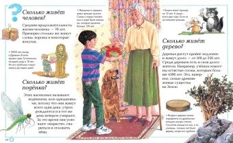 Стил Филип; Уолпол Бренда; Ганери Анита, Чермен Эндрю, Флитвуд Дженни, Элисон Бриджит: Отчего и почему?
