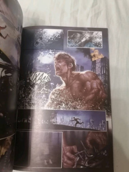 Шон Райан: Человек-Паук. 100 лет Marvel