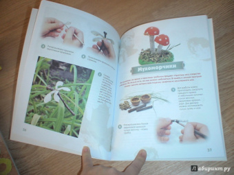 Алена Верхола: Чудеса из природных материалов. Делаем вместе с мамой