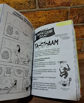 Эйитиро Ода: One Piece. Большой куш. Книга 1. На заре приключений