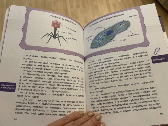 Алексей Бондарев: Вирусы и микробы. Детская энциклопедия
