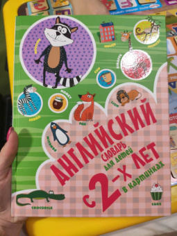 Ирина Френк: Английский словарь для детей с 2-х лет в картинках
