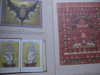 Линн Келли: Мастерская памяти. Лучшие методики запоминания в истории человечества