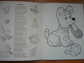 Татьяна Коваль: Домашние любимцы