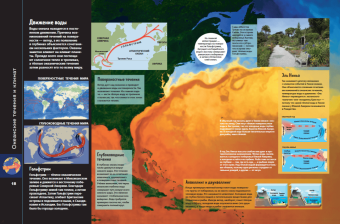 Анна МакРей: Океаны и моря. Виртуальная реальность
