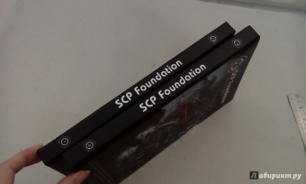 Андрей Дуксин: SCP Foundation. Secure. Contain. Protect. Книга 2