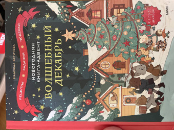 Надежда Бегичева: Волшебный декабрь. Новогодняя книга-адвент. Рецепты, задания, поделки. С 1 по 31 декабря