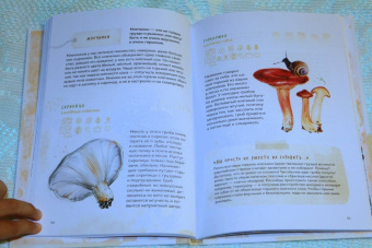 Михаил Вишневский: Грибы. Атлас-определитель