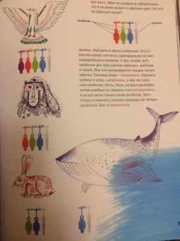 Толченникова, Нечипоренко: Ключи от головы. Что ученые знают про мозг