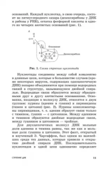Калмыкова, Белоусова, Калмыков: Основы полимеразной цепной реакции с разными форматами детекции. Учебное пособие