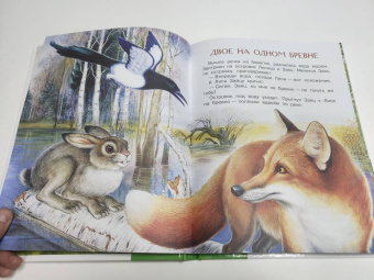 Николай Сладков: Бюро лесных услуг