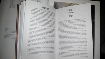 Юлия Шкутова: Я нарисую тебе сказку. Академия Магического Познания