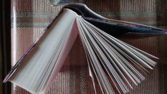 Тван Тан: Сад вечерних туманов