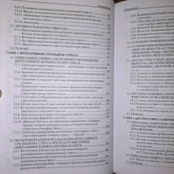 Леонид Китаев-Смык: Стресс. Эмоции и соматика