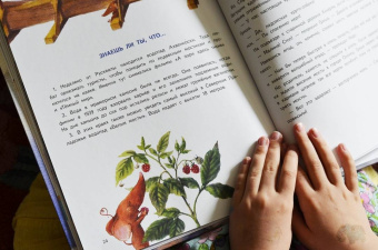 Кристина Кретова: Приключения мышонка Недо на Ладоге. Географические сказки