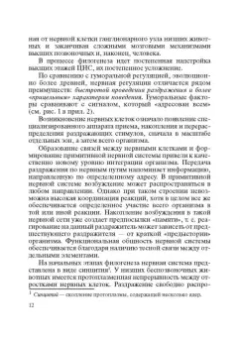 Бенилова, Давидович: Логопедия. Системные нарушения речи у детей. Этиопатогенез, классификации, коррекция, профилактика