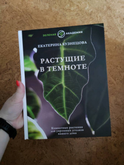 Екатерина Кузнецова: Растущие в темноте. Комнатные растения для укромных уголков вашего дома