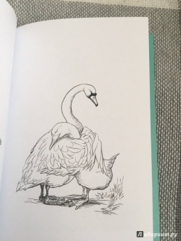 Крис Ридделл: 100 объятий