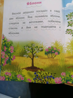 Ирина Шестакова: Как белка потеряла грибок