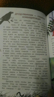 Василий Вишневский: Наши птицы. Определитель для детей