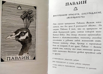 Ким Кранс: The Wild Unknown Animal Spirit. Дикое Неизвестное тотемное животное. Колода-оракул (63 карты и рук.)