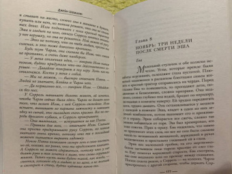 Джейн Шемилт: Детская площадка