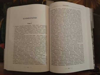 Димитрий Священник: Святитель Тихон, Патриарх Московский и всея России, и его время