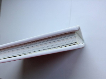 Петр Ершов: Конёк-горбунок