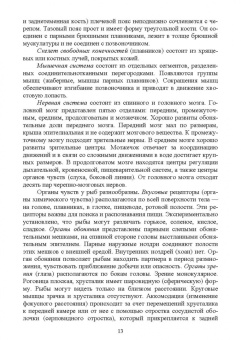 Гизатуллина, Макарова, Чернышова: Позвоночные животные. Учебное пособие