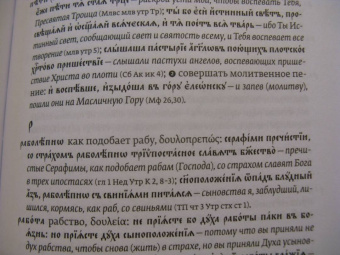Ольга Седакова: Словарь трудных слов из богослужения. Церковнославяно-русские паронимы
