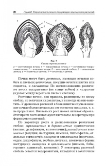 Шаламова, Крупина, Миникаев: Цветоводство. Практикум. Учебное пособие