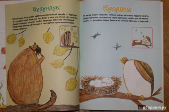 Елена Янушко: Бумажные полоски